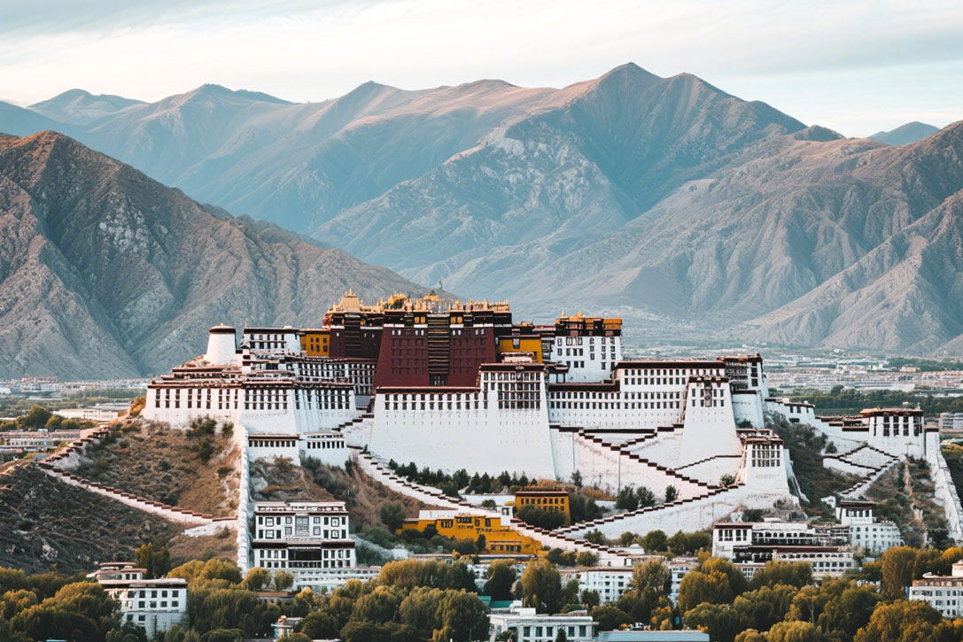 Lhasa poster